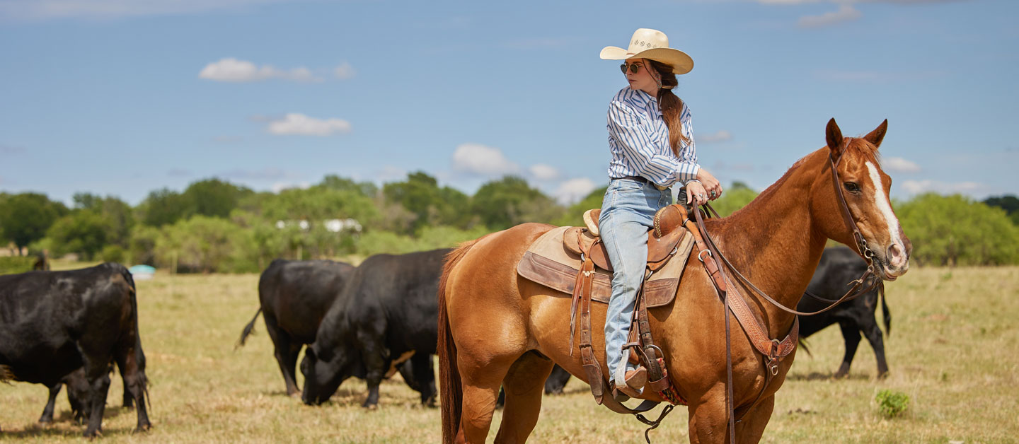 Woman wearing a cowboy hat on horse standing amongst cattle.